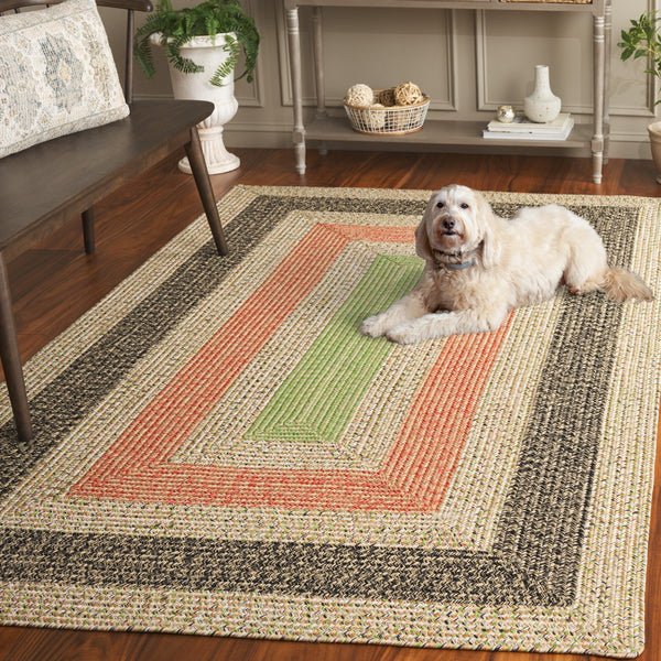 Safavieh Braded Area Rug - Hand-woven, Durable, Stylish Design For Indoor & Outdoor Spaces, Easy To Clean Black ,Light Green Polypropylene Pile Brd319z-5sq