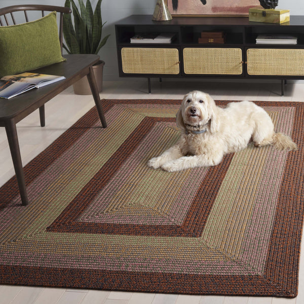 Safavieh Braded Braided Rugs Hand-woven Area Rug In Elegant Earth Tones - Versatile Indoor/Outdoor Décor Piece Dark Brown ,Light Green Polypropylene Pile Brd320t-3r