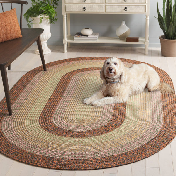 Safavieh Braded Braided Rugs Hand-woven Area Rug In Elegant Earth Tones - Versatile Indoor/Outdoor Décor Piece Dark Brown ,Light Green Polypropylene Pile Brd320t-3r