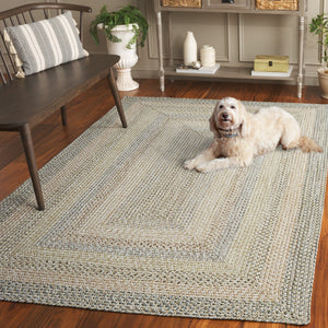 Safavieh Braided Area Rug - Elegant Hand-woven Design For Indoor And Outdoor Spaces, Durable & Washable Quality Beige ,Light Grey Polypropylene Pile Brd321b-5ov
