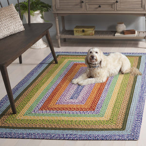 Safavieh Braided Area Rug - Handwoven Durability And Rustic Charm For Indoor & Outdoor Spaces, Easy Care Green ,Rust Polypropylene Pile Brd324y-3ov