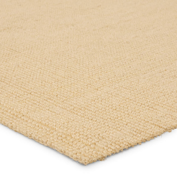 Jaipur Living Birchwood Alyster Solid Handmade Indoor Rug Beige 9'x12'