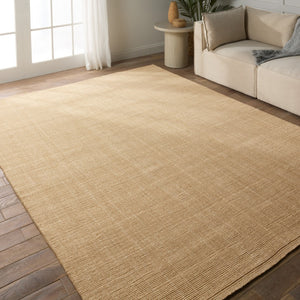 Jaipur Living Birchwood Alyster Solid Handmade Indoor Rug Beige 9'x12'