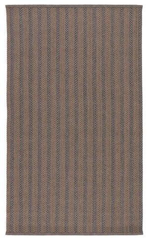 Jaipur Living Jaipur Living Brontide Braided Polypropylene Rug for Patio Foyer and Neutral Decor 4' X 6' RUG148823