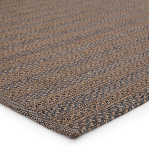 Jaipur Living Jaipur Living Brontide Braided Polypropylene Rug for Patio Foyer and Neutral Decor 4' X 6' RUG148823