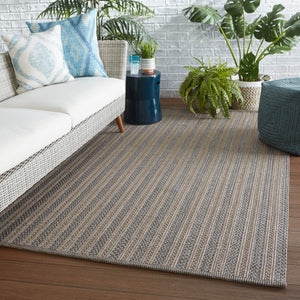 Jaipur Living Jaipur Living Brontide Braided Polypropylene Rug for Patio Foyer and Neutral Decor 4' X 6' RUG148823