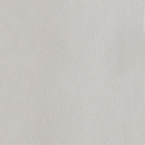 Serena Barstool in Light Grey BS020-LG Manhattan Comfort