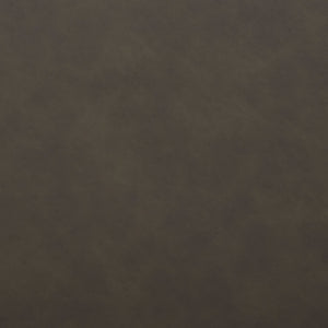 Safavieh Alexis Mid Century Counter Stool - Stylish Retro Design With Comfortable Seating For Modern Spaces Ash / Black Legs BST3000E