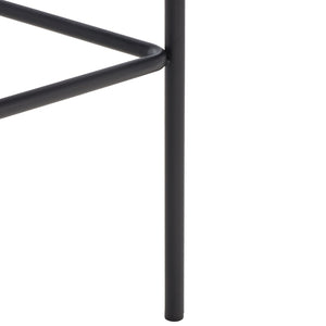 Safavieh Bahari Woven Counter Stool - Contemporary Design With Natural Leather Seat & Sleek Silver Base Black / Black BST3010F