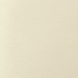 TOV Furniture Rebecca Performance Velvet Dining Chair - Elegant Comfort with Durable Design for Any Dining Space Cream TOV-D69079