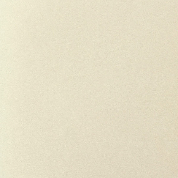 TOV Furniture Rebecca Performance Velvet Dining Chair - Elegant Comfort with Durable Design for Any Dining Space Cream TOV-D69079