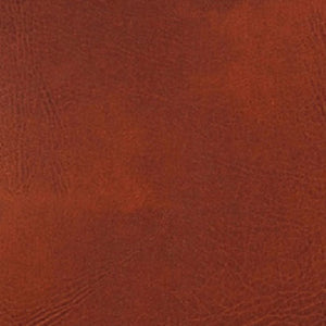 Manhattan Comfort Cronkite Mid-Century Modern Accent Chair Brown and Walnut AC026-BR