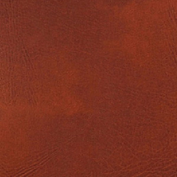 Manhattan Comfort Cronkite Mid-Century Modern Accent Chair Brown and Walnut AC026-BR