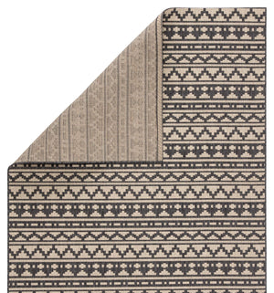 Jaipur Living Jaipur Living Killick Polypropylene Tribal Geometric Flat Woven Indoor Outdoor Rug Gray 2'X3'7" RUG143319