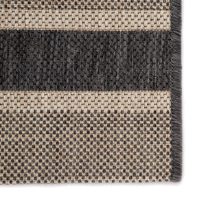 Jaipur Living Jaipur Living Pilot Flatweave Polypropylene Rug Coastal Stripe Indoor Outdoor Neutral 4'X5'7" RUG143315