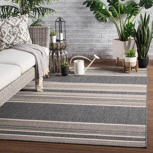 Jaipur Living Jaipur Living Pilot Flatweave Polypropylene Rug Coastal Stripe Indoor Outdoor Neutral 4'X5'7" RUG143315