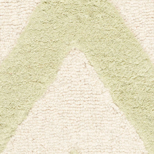 Safavieh Cambridge 139 Hand Tufted  Rug Light Green / Ivory CAM139B-2