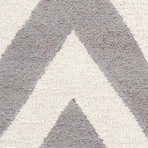 Safavieh Cambridge 139 Hand Tufted  Rug Silver / Ivory CAM139D-2