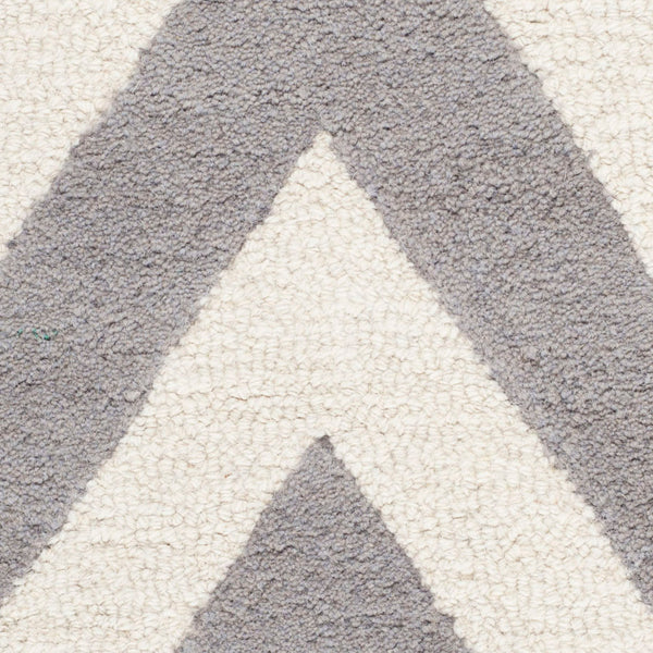 Safavieh Cambridge 139 Hand Tufted  Rug Silver / Ivory CAM139D-2