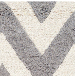 Safavieh Cambridge 139 Hand Tufted  Rug Silver / Ivory CAM139D-2