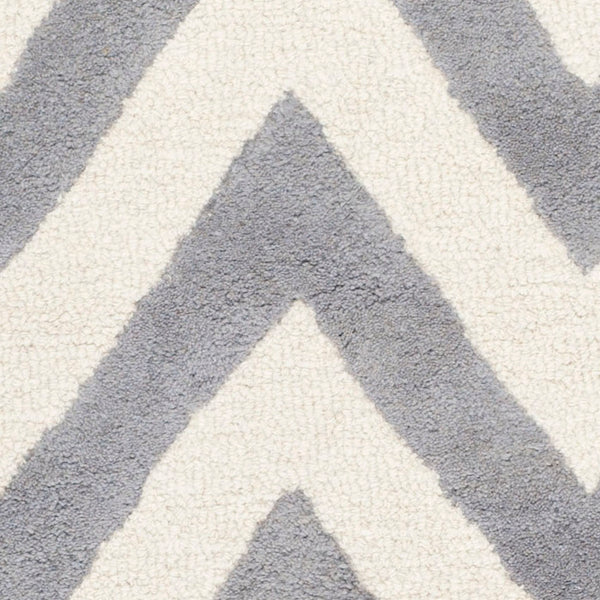 Safavieh Cambridge 139 Hand Tufted  Rug Silver / Ivory CAM139D-2