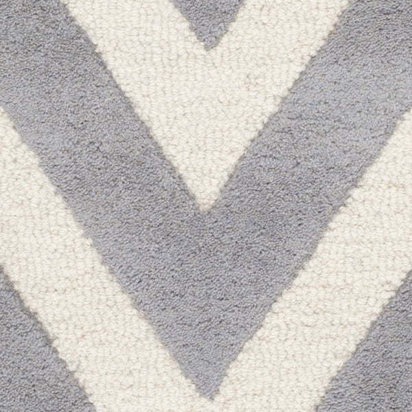 Safavieh Cambridge 139 Hand Tufted  Rug Silver / Ivory CAM139D-3