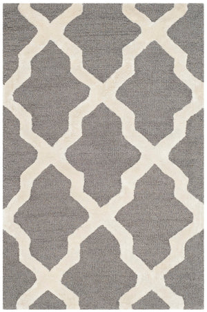 Safavieh Cambridge 155 Hand Tufted  Rug Grey / Ivory CAM155D-2