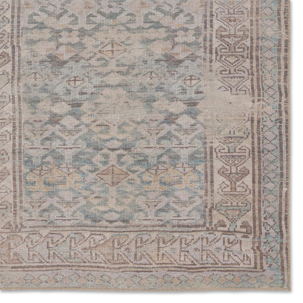 Jaipur Living Jaipur Living Oakley Flatweave Runner Rug Southwestern Medallion Vintage Geometric Hallway RUG154722