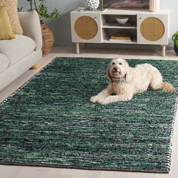 Safavieh Cape Handwoven Green And Black Area Rug — Rustic Abstract-Modern Design, Low-Profile Pile, Durable Comfort 4'-0" x 6'-0" CAP154Y-4