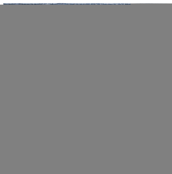 Safavieh Cabana Ivory/Navy Coastal Runner Rug - Elegant 2' X 10' Indoor/Outdoor Design With Tropical Leaves Ivory ,Navy 88% Polypropylene,12% Polyester Cbn453n-210