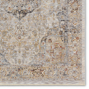 Jaipur Living Jaipur Living Jeeda Distressed Medallion Polyester Runner Rug for Hallways Entryways 10' x 14' RUG155152