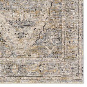 Jaipur Living Jaipur Living Jamila Distressed Medallion Polyester Runner Rug for Hallways 9' x 13' RUG155169