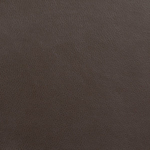 English Elm HERCULES Series Remote Lift Recliner for Comfort, Support, and Easy Transitions for Seniors Cognac LeatherSoft CH-US-153062L-CGN-LEA-GG