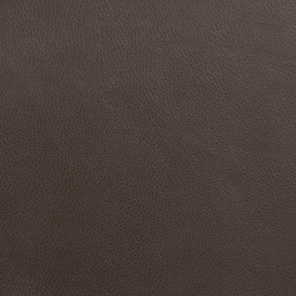 English Elm HERCULES Series Remote Lift Recliner for Comfort, Support, and Easy Transitions for Seniors Cognac LeatherSoft CH-US-153062L-CGN-LEA-GG