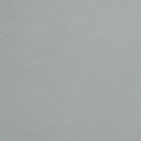 English Elm HERCULES Series Remote Lift Recliner for Comfort, Support, and Easy Transitions for Seniors Gray LeatherSoft CH-US-153062L-GY-LEA-GG