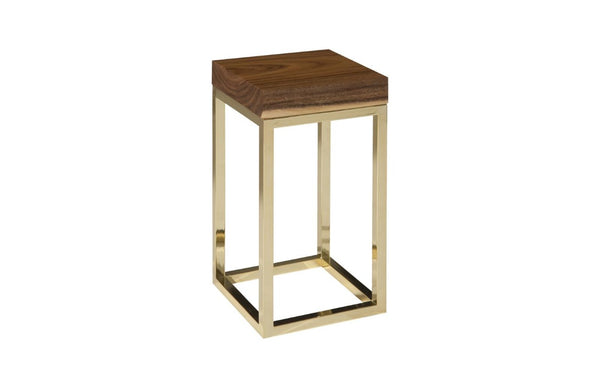 Phillips Collection Hayden Chamcha Wood Top End Table with Brass Cube Base for Compact Living Spaces CH72065