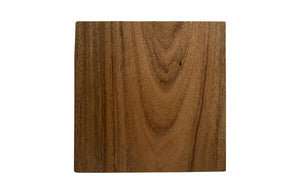 Phillips Collection Hayden Chamcha Wood Top End Table with Brass Cube Base for Compact Living Spaces CH72065