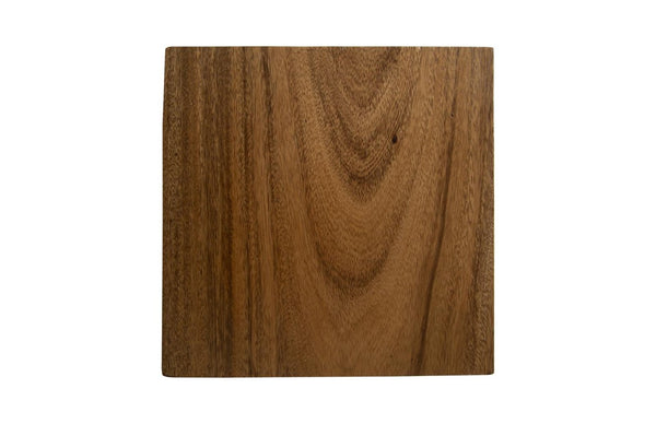 Phillips Collection Hayden Chamcha Wood Top End Table with Brass Cube Base for Compact Living Spaces CH72065