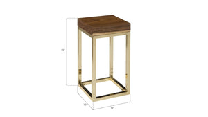 Phillips Collection Hayden Chamcha Wood Top End Table with Brass Cube Base for Compact Living Spaces CH72065