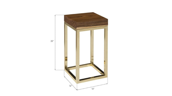 Phillips Collection Hayden Chamcha Wood Top End Table with Brass Cube Base for Compact Living Spaces CH72065