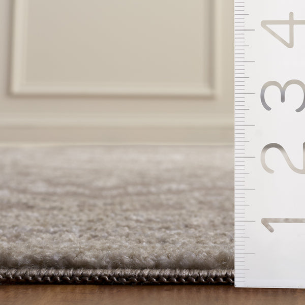 Safavieh Chamber Neutral Beige Ivory Turkish Power-Loomed Area Rug — Low Pile, Durable, Easy-Clean Elegance 6'-7" x 6'-7" CHM210B-7SQ