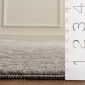 Safavieh Chamber Neutral Beige Ivory Power Loomed Polyester Rug for Living and Bedroom Spaces CHM210B-5