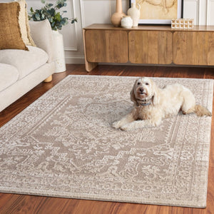 Safavieh Chamber Neutral Beige Ivory Power Loomed Polyester Rug for Living and Bedroom Spaces CHM210B-5