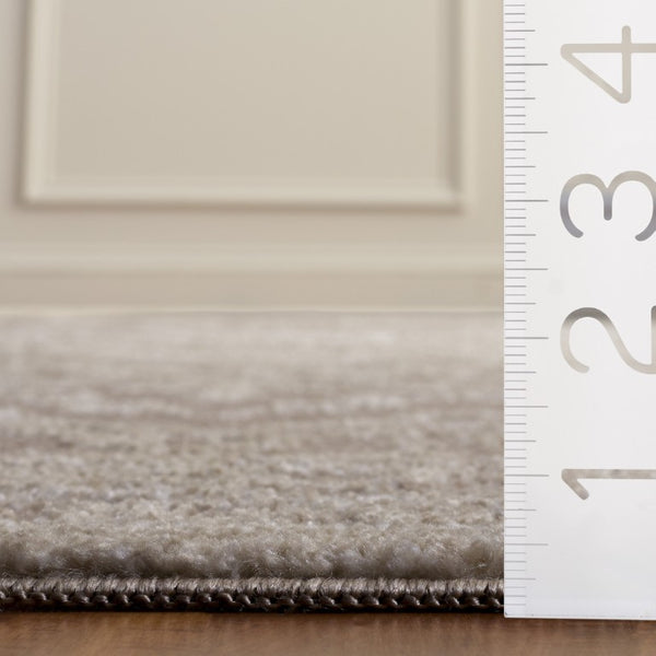 Safavieh Chamber Power Loomed Polyester Area Rug Neutral Beige Ivory Traditional Living Room CHM210B-9