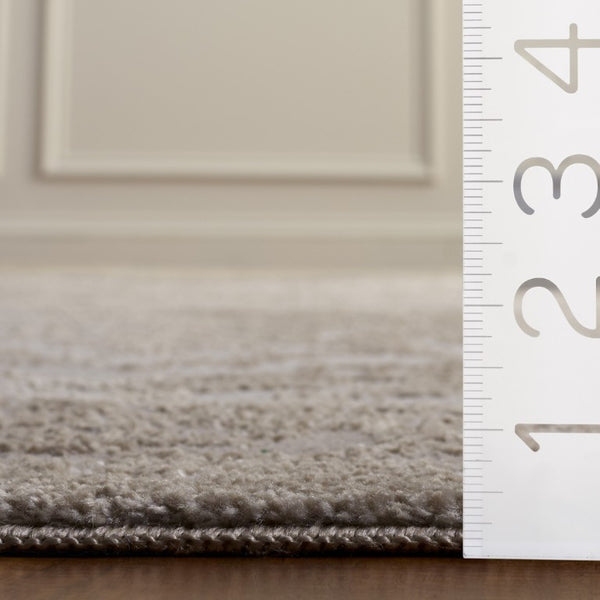 Safavieh Chamber Traditional Power Loomed Polyester Area Rug with Soft Neutral Ivory Tones CHM210E-4