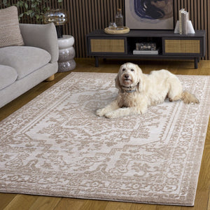 Safavieh Chamber Solid Polyester Area Rug Low Pile Turkish Woven Neutral Tones for Any Room CHM210E-5