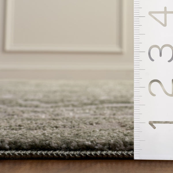 Safavieh Chamber Power Loomed Polyester Area Rug Soft Ivory Green Traditional Living Room Accent CHM210W-4