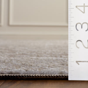 Safavieh Chamber Neutral Tone Turkish Woven Polyester Area Rug for Living Room or Bedroom CHM212B-4