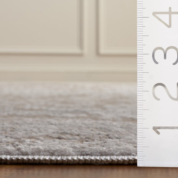 Safavieh Chamber Neutral Polyester Area Rug Power Loomed in Turkey for Living and Bedroom Spaces CHM212C-5