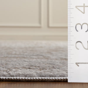 Safavieh Chamber Neutral Polyester Area Rug Power Loomed in Turkey for Living and Dining Rooms CHM212C-9